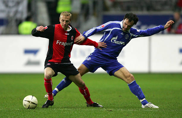 并不仅仅是 并不仅仅是